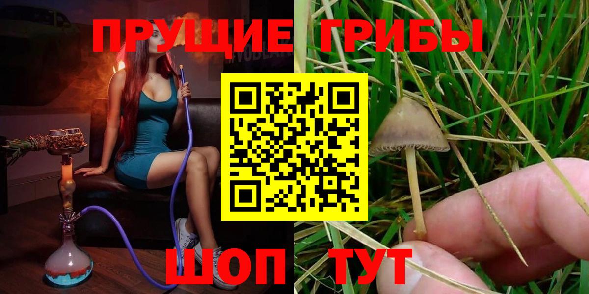 Галлюциногенные грибы Psilocybe Владикавказ